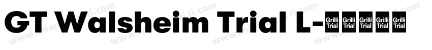 GT Walsheim Trial L字体转换